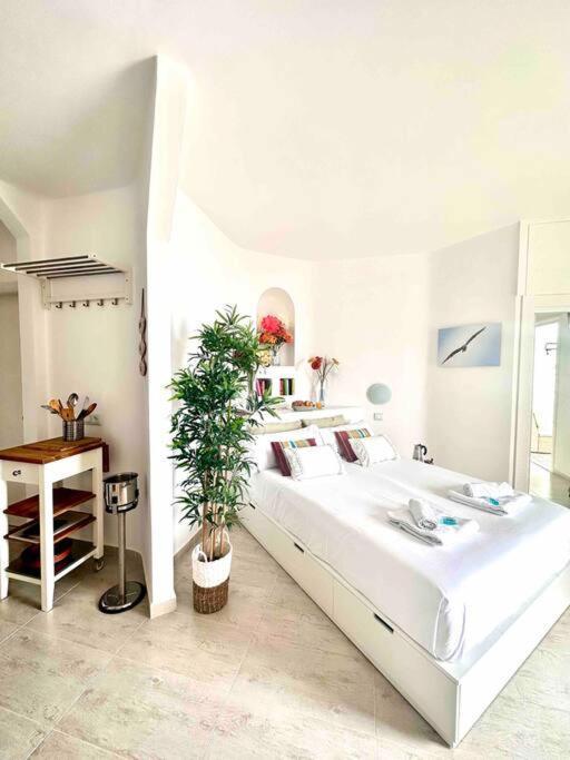 פלאיה פראיסו Mirador Paraiso: Superb Sea View מראה חיצוני תמונה