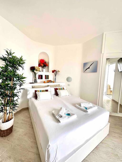 פלאיה פראיסו Mirador Paraiso: Superb Sea View מראה חיצוני תמונה