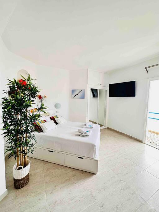 פלאיה פראיסו Mirador Paraiso: Superb Sea View מראה חיצוני תמונה